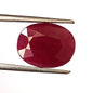 7.45 Carat 10.7X13.8X4.7 (WXLXD) Natural Oval Cut Mozambique Ruby