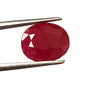 5.60 Carat 9X11X5.3 (WXLXD) Natural Oval Cut Mozambique Ruby