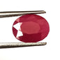 4.0 Carat 8X10X5 (WXLXD) Natural Oval Cut Mozambique Ruby