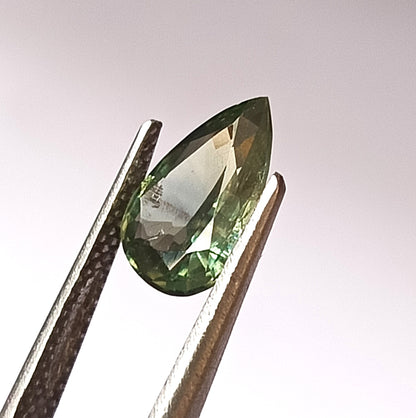 1.70 Carat 6.7X10X3.2 (WXLXD) Natural Unheated Pear Cut Australian Green Sapphire