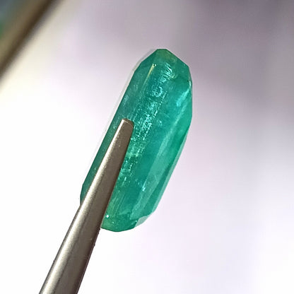 20.0 Carat 12.6X20X8.8 (WXLXD) Natural Zambian Emerald Cut Emerald