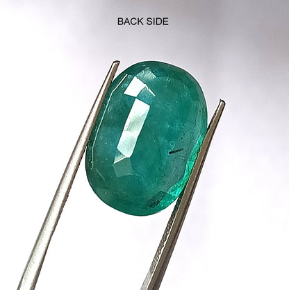 14.0 Carat 13X18X8.2 (WXLXD) Natural Zambian Oval Shaped Emerald