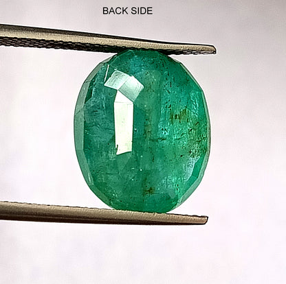 9.05 Carat 12X15X7.2 (WXLXD) Natural Zambian Oval Shaped Emerald