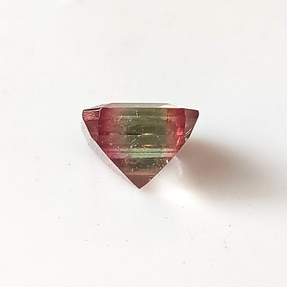 3.45 Carat 8.4X9X6.2 (WXLXD) Natural Octagon Cut Bi-colour tourmaline