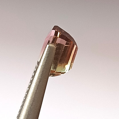 2.40 Carat 7X7X5.2 (WXLXD) Natural Square Octagon Cut Bi-colour tourmaline