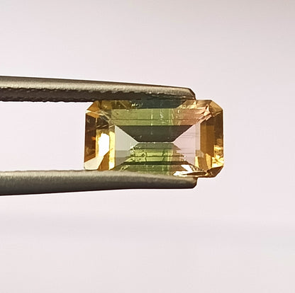 1.85 Carat 5.5X9.7X4.2 (WXLXD) Natural Emerald Cut Bi-colour tourmaline