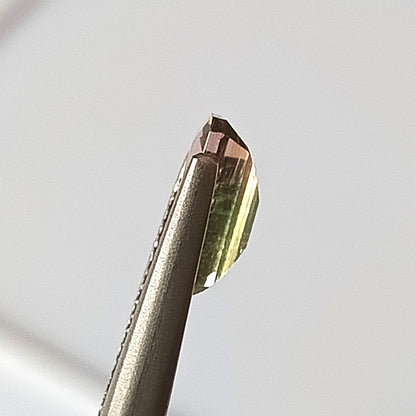 1.85 Carat 5.5X9.7X4.2 (WXLXD) Natural Emerald Cut Bi-colour tourmaline