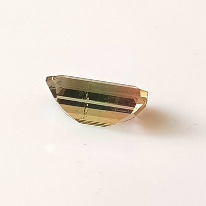 1.85 Carat 5.5X9.7X4.2 (WXLXD) Natural Emerald Cut Bi-colour tourmaline