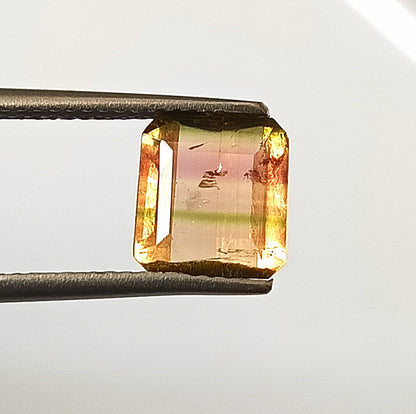 1.80 Carat 7.5X8X3.7 (WXLXD) Natural Square Octagon Cut Bi-colour tourmaline