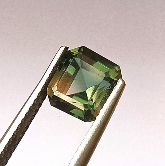 1.70 Carat 7X7.5X4.7 (WXLXD) Natural Square Octagon Cut Bi-colour tourmaline