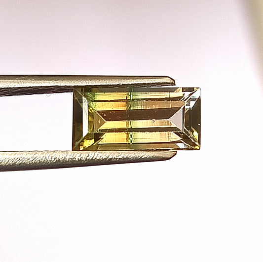 1.65 Carat 5X10X3.9 (WXLXD) Natural Baguette Cut Bi-colour tourmaline