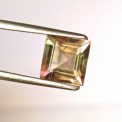 1.50 Carat 7X7X4.1 (WXLXD) Natural Square Cut Bi-colour tourmaline