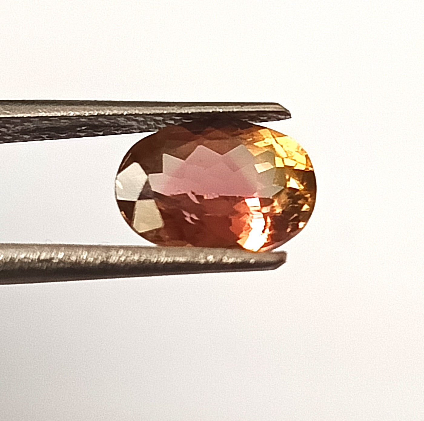 1.60 Carat 6.4X8.8X4.3 (WXLXD) Natural Oval Cut Bi-colour tourmaline