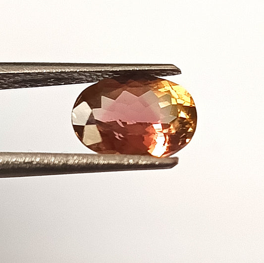 1.60 Carat 6.4X8.8X4.3 (WXLXD) Natural Oval Cut Bi-colour tourmaline