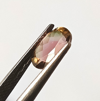 1.60 Carat 6.4X8.8X4.3 (WXLXD) Natural Oval Cut Bi-colour tourmaline