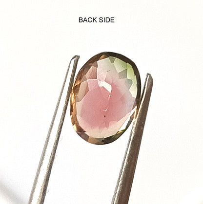 1.60 Carat 6.4X8.8X4.3 (WXLXD) Natural Oval Cut Bi-colour tourmaline