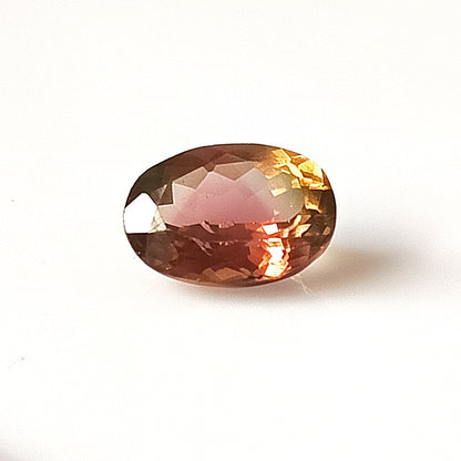 1.60 Carat 6.4X8.8X4.3 (WXLXD) Natural Oval Cut Bi-colour tourmaline