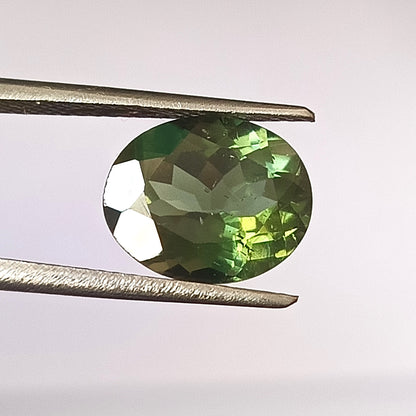 3.30 Carat 9X11X5.5 (WXLXD) Natural Oval Cut Green tourmaline