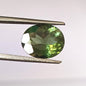 3.30 Carat 9X11X5.5 (WXLXD) Natural Oval Cut Green tourmaline