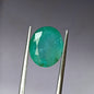 6.20 Carat 10.1X12.5X6.1 (WXLXD) Natural Zambian Oval Cut Emerald