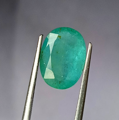 4.55 Carat 9.2X12.6X5.4 (WXLXD) Natural Zambian Oval Cut Emerald
