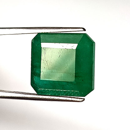 10.65 Carat 13X13.5X6.4 (WXLXD) Natural Zambian Cushion Cut Emerald