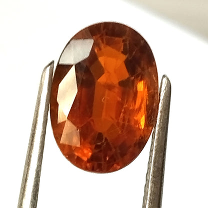 2.90 Carat 7.6X10.8X5 (WXLXD) Natural Oval Cut Tourmaline Gemstone